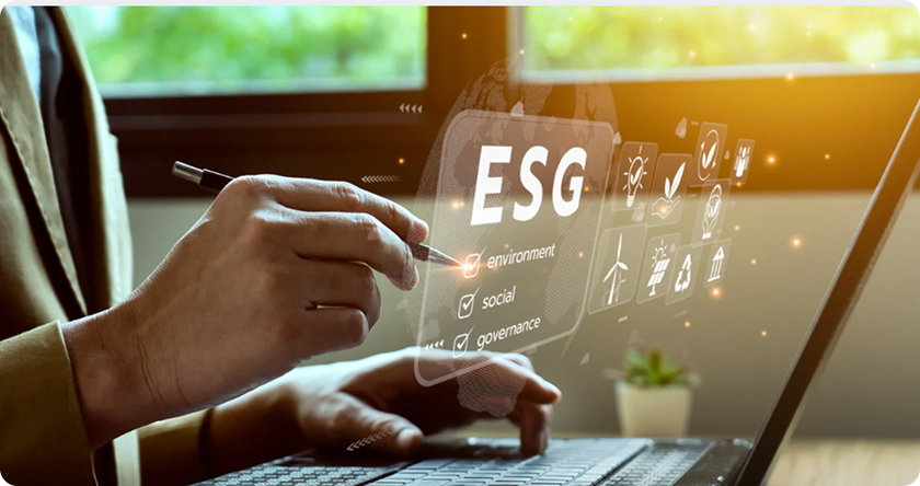 Sustainable Investing Strategies: Shaping the Future of Finance